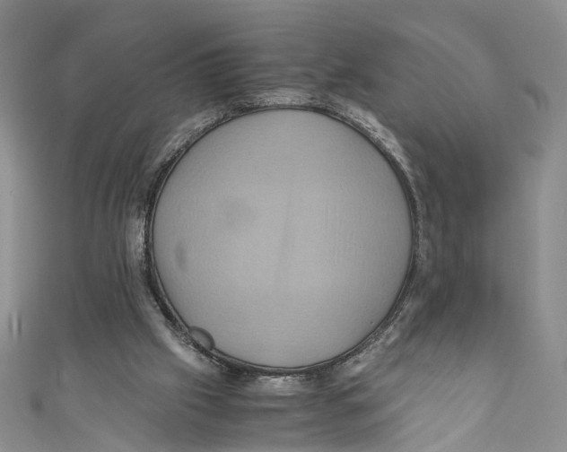 X0000110970057200907171719