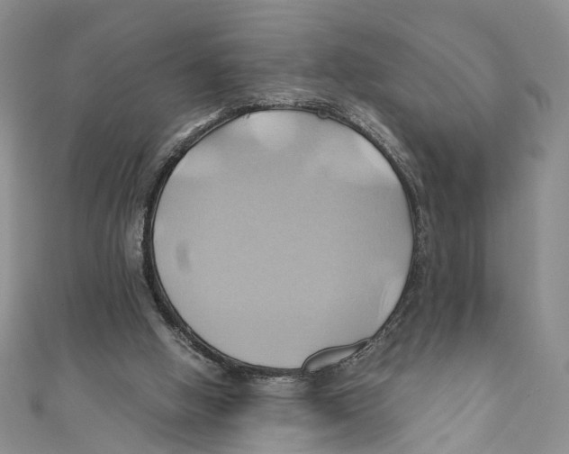 X0000110970058200907171719