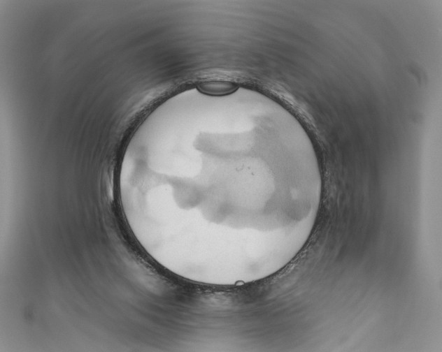 X0000110970062200907171719