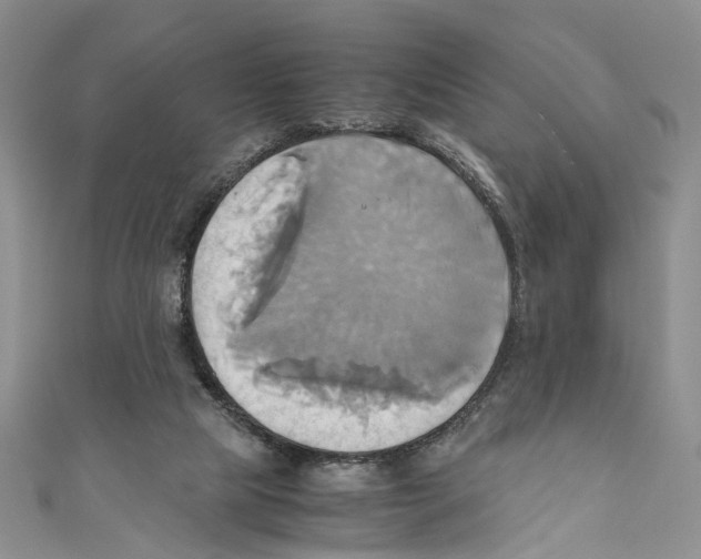 X0000110970065200907171719