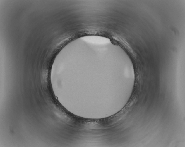 X0000110970066200907171719
