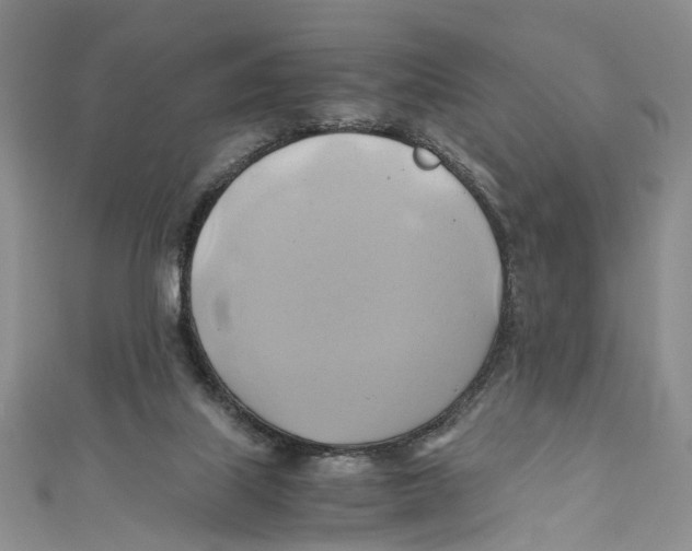 X0000110970067200907171719