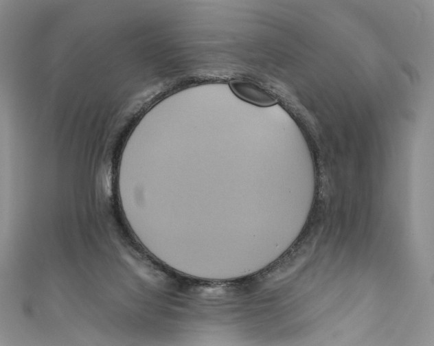 X0000110970068200907171719