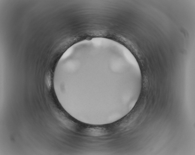 X0000110970069200907171719