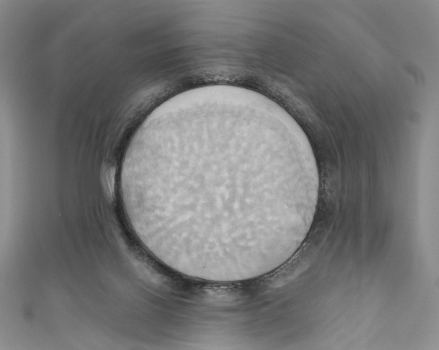 X0000110970070200907171719