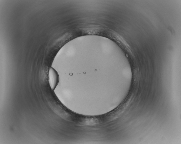 X0000110970073200907171719