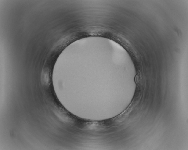 X0000110970074200907171719