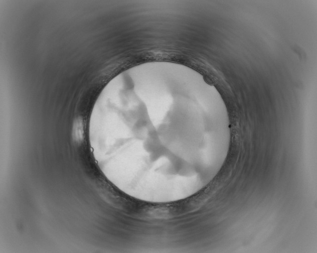 X0000110970075200907171719