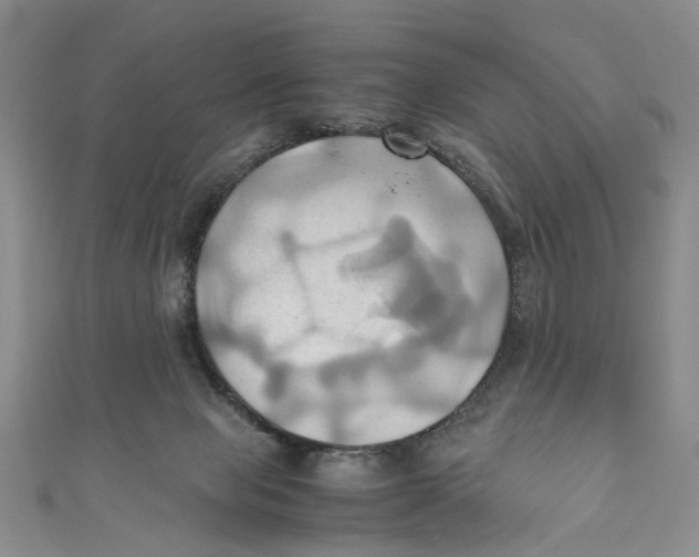 X0000110970077200907171720