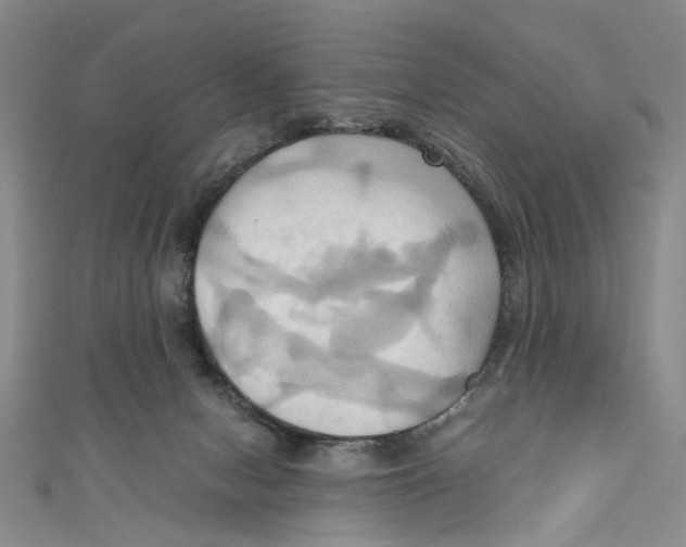 X0000110970078200907171720