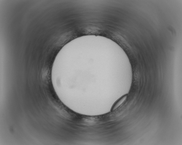 X0000110970079200907171720