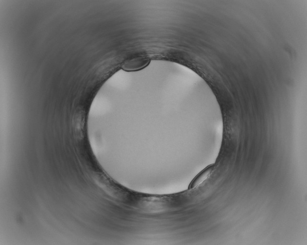 X0000110970082200907171720