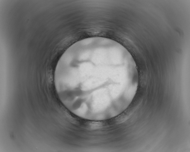 X0000110970085200907171720