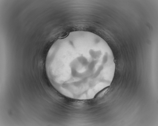 X0000110970086200907171720