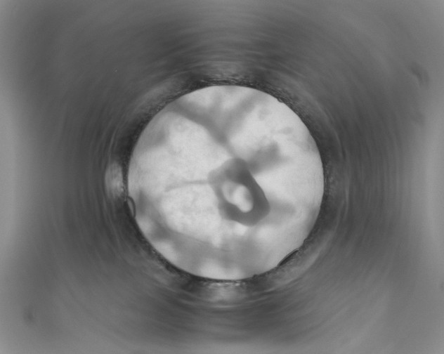 X0000110970089200907171720