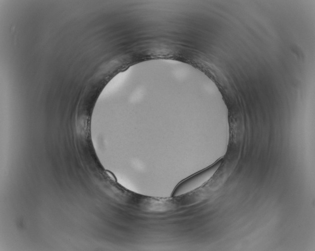 X0000110970093200907171720