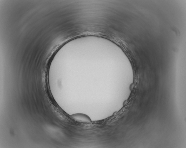X0000110970098200907171719