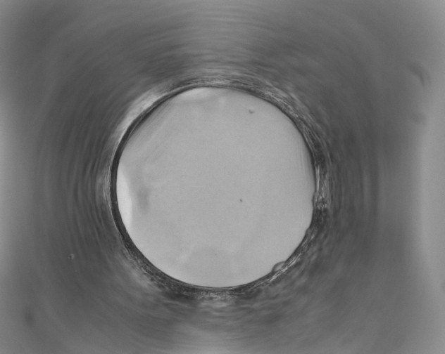 X0000110970099200907171719