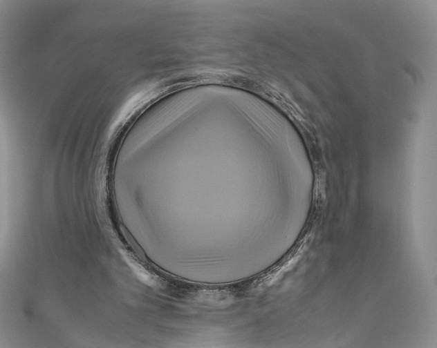 X0000110970101200907171719