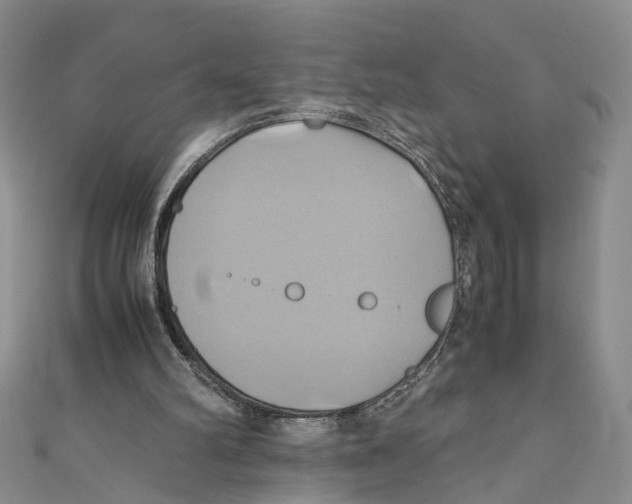 X0000110970102200907171719