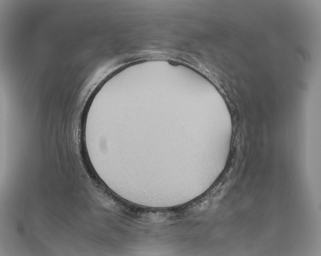 X0000110970103200907171719
