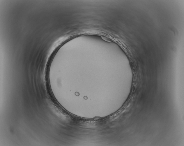 X0000110970104200907171719