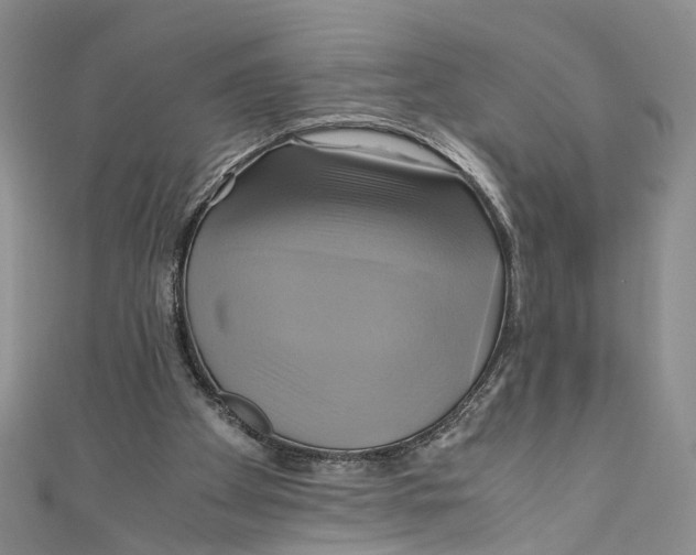 X0000110970105200907171719