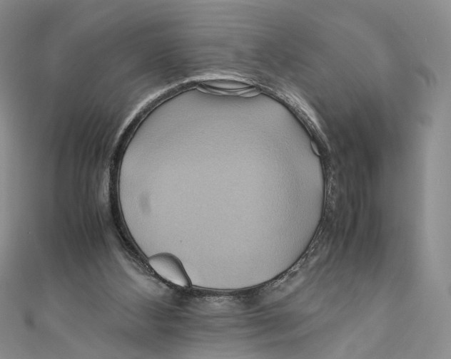 X0000110970108200907171719