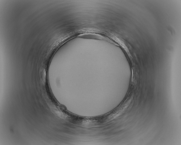 X0000110970109200907171719