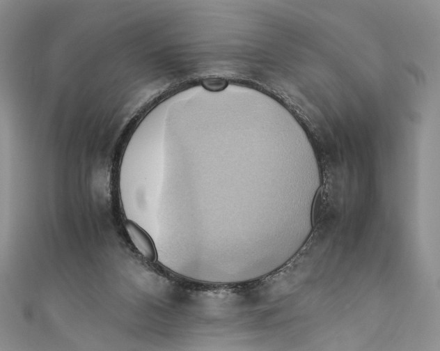 X0000110970112200907171719