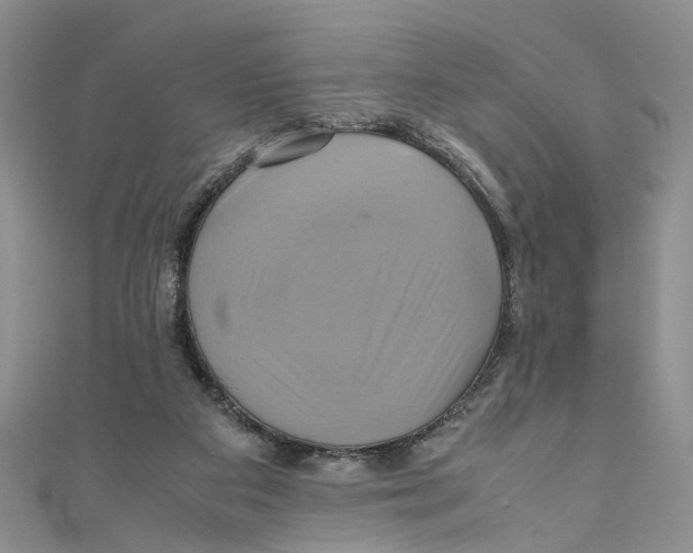 X0000110970113200907171719