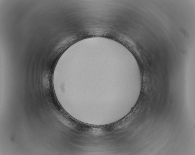 X0000110970114200907171719