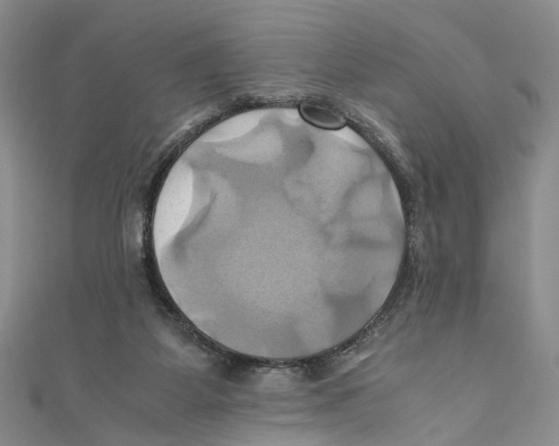X0000110970115200907171719