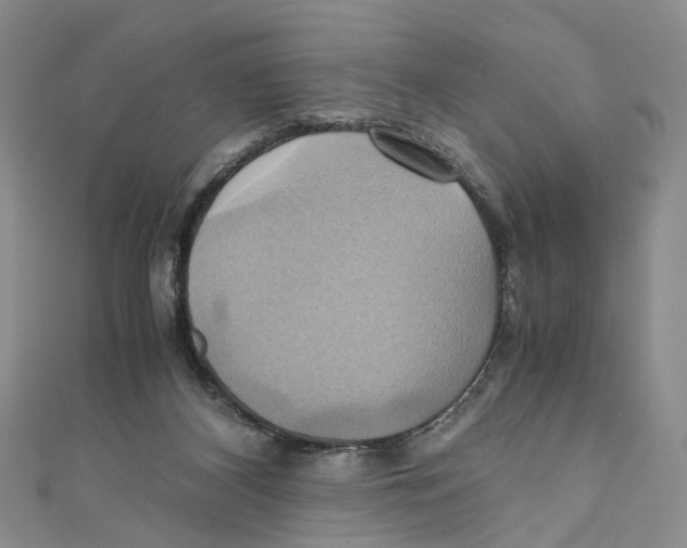 X0000110970116200907171719
