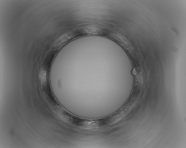 X0000110970117200907171719