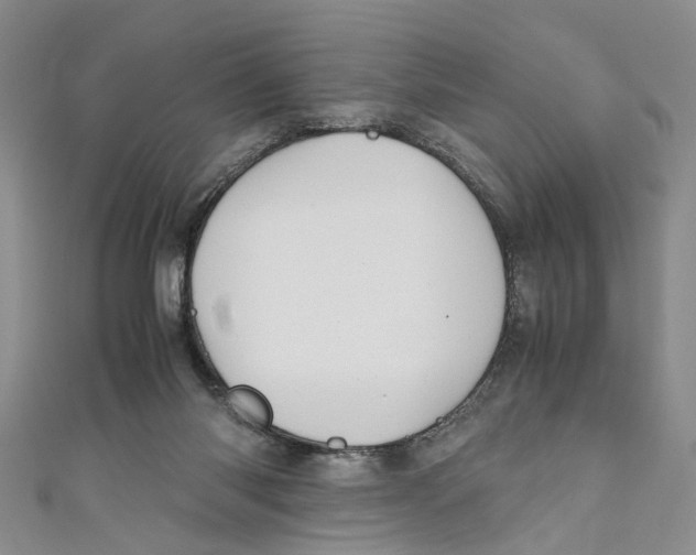 X0000110970118200907171719