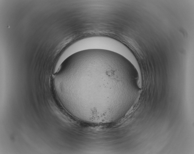 X0000110970120200907171719