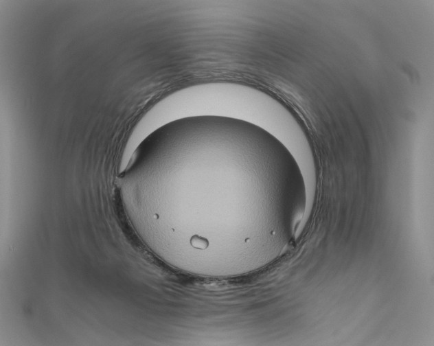 X0000110970121200907171719