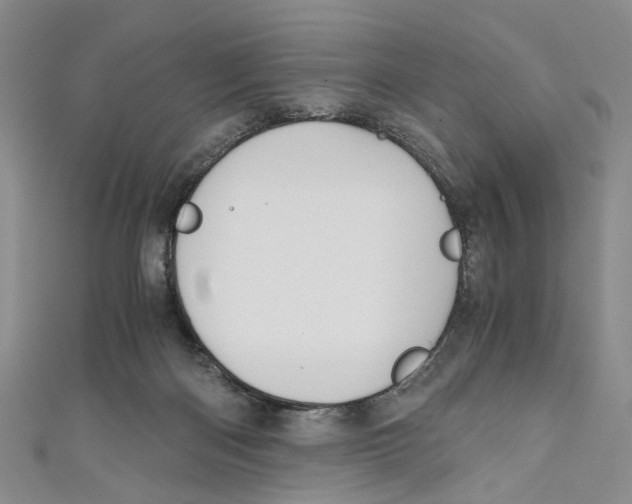 X0000110970122200907171719