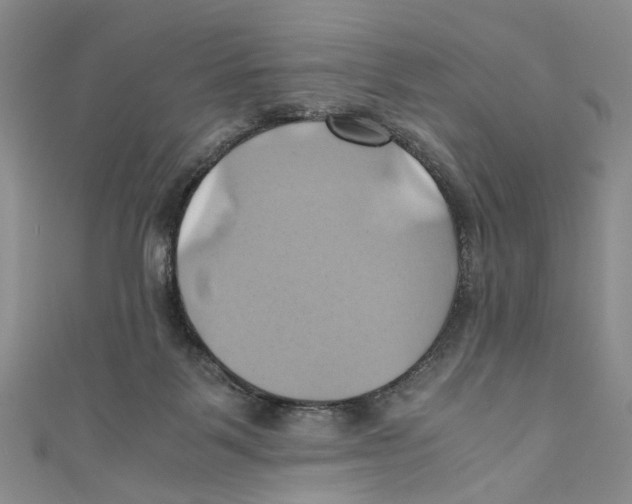X0000110970123200907171719