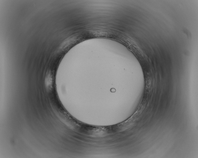 X0000110970124200907171719