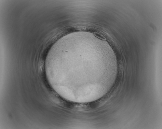 X0000110970125200907171719