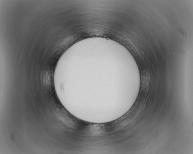 X0000110970126200907171719