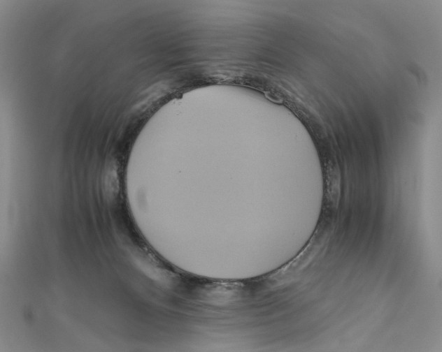 X0000110970128200907171719