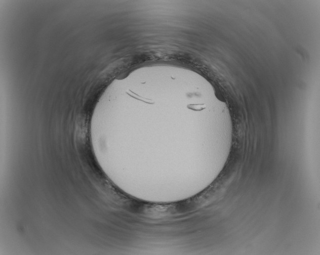 X0000110970129200907171719