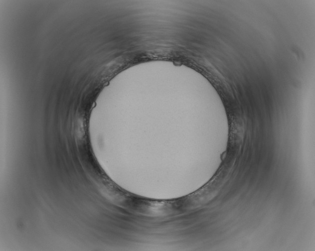 X0000110970130200907171719