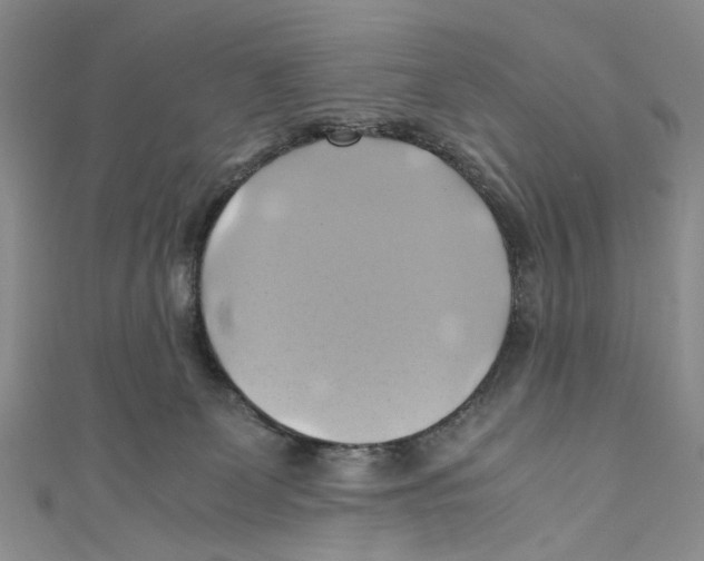 X0000110970131200907171719