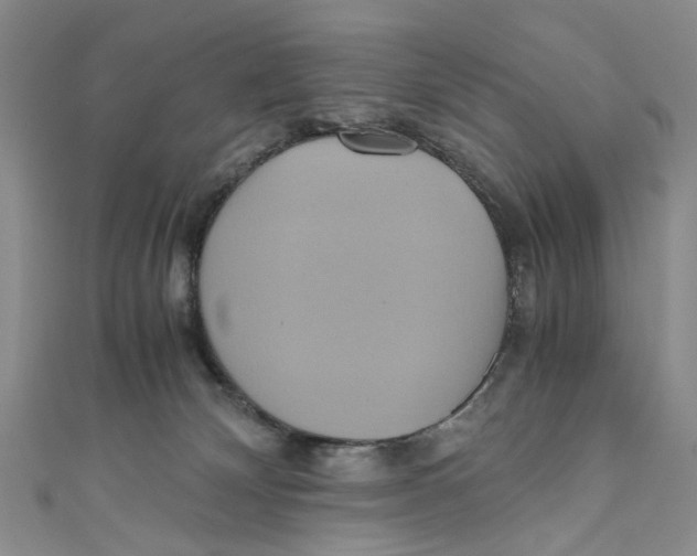 X0000110970132200907171719