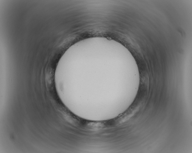 X0000110970133200907171719
