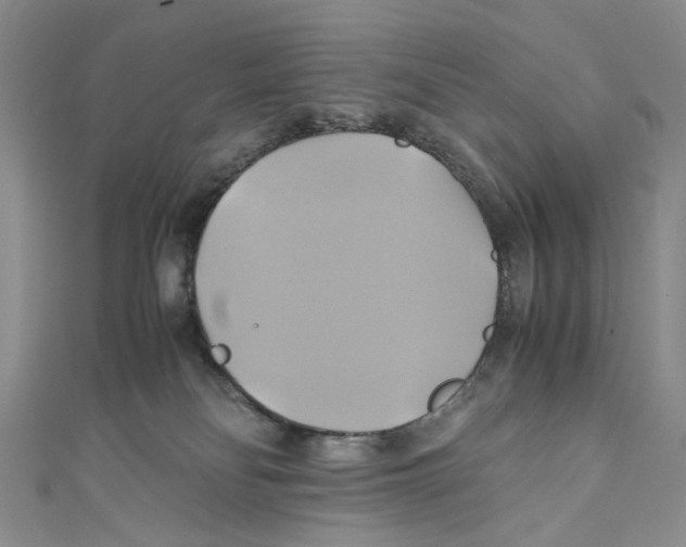 X0000110970134200907171719